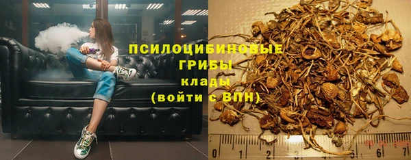 соль ск Балахна