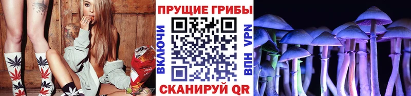 Псилоцибиновые грибы MAGIC MUSHROOMS  Советск 