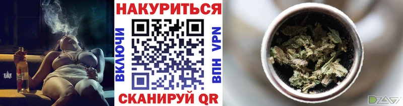 Конопля гибрид  Советск 